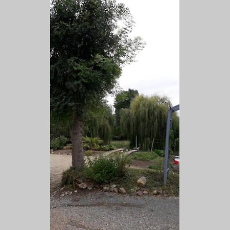 Appartement Entre vignes et loire à Blaison-Saint-Sulpice Extérieur photo