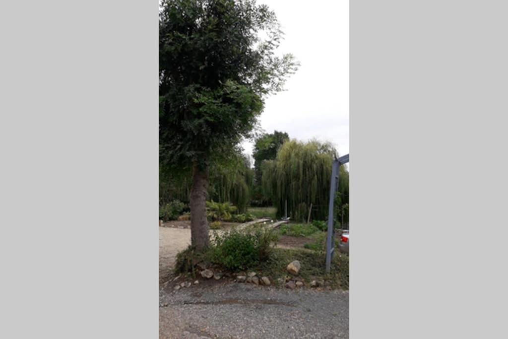Appartement Entre vignes et loire à Blaison-Saint-Sulpice Extérieur photo
