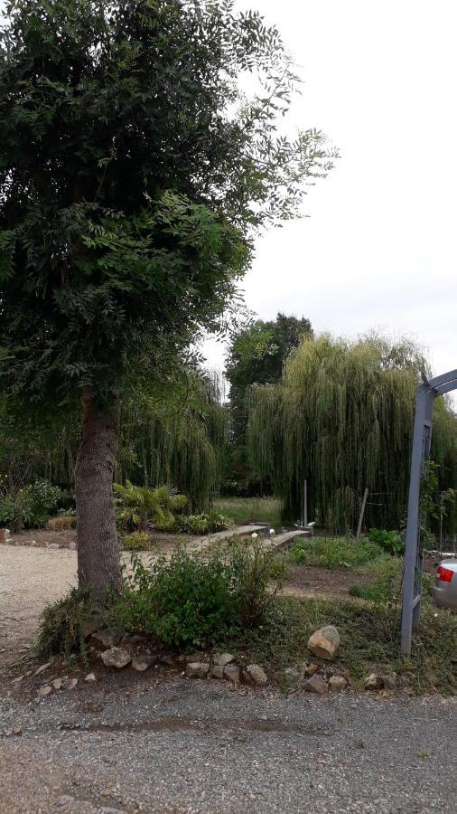 Appartement Entre vignes et loire à Blaison-Saint-Sulpice Extérieur photo